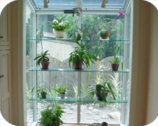 Garden Windows