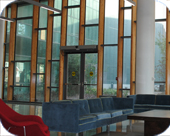 Wood Curtain Walls