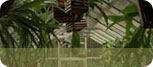Residential Greenhouses Residential Greenhouses