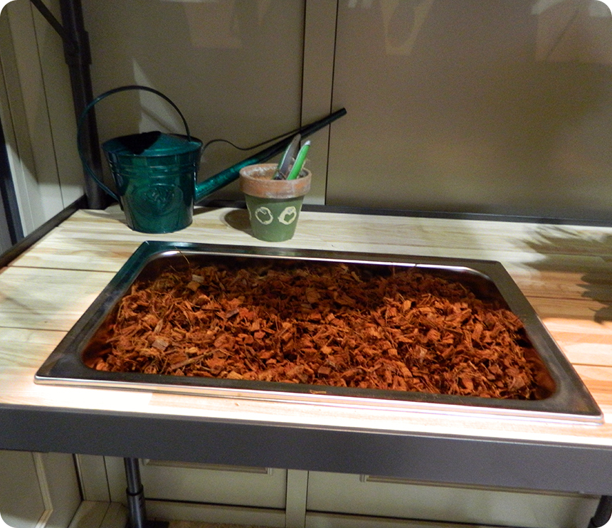 Greenhouse Potting Bench