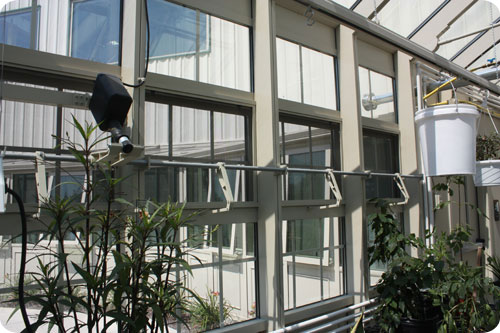 Eave Vent System