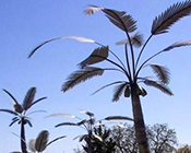 Designer Steel Palm Trees